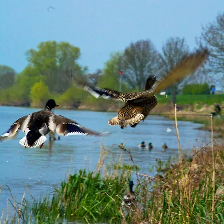 Fletcher Restaurant Rooland Hotell 4*