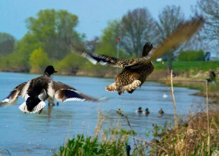 Fletcher Restaurant Rooland Hotel 4*