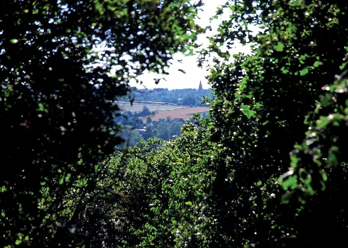 Hotel Fletcher Restaurant Rooland